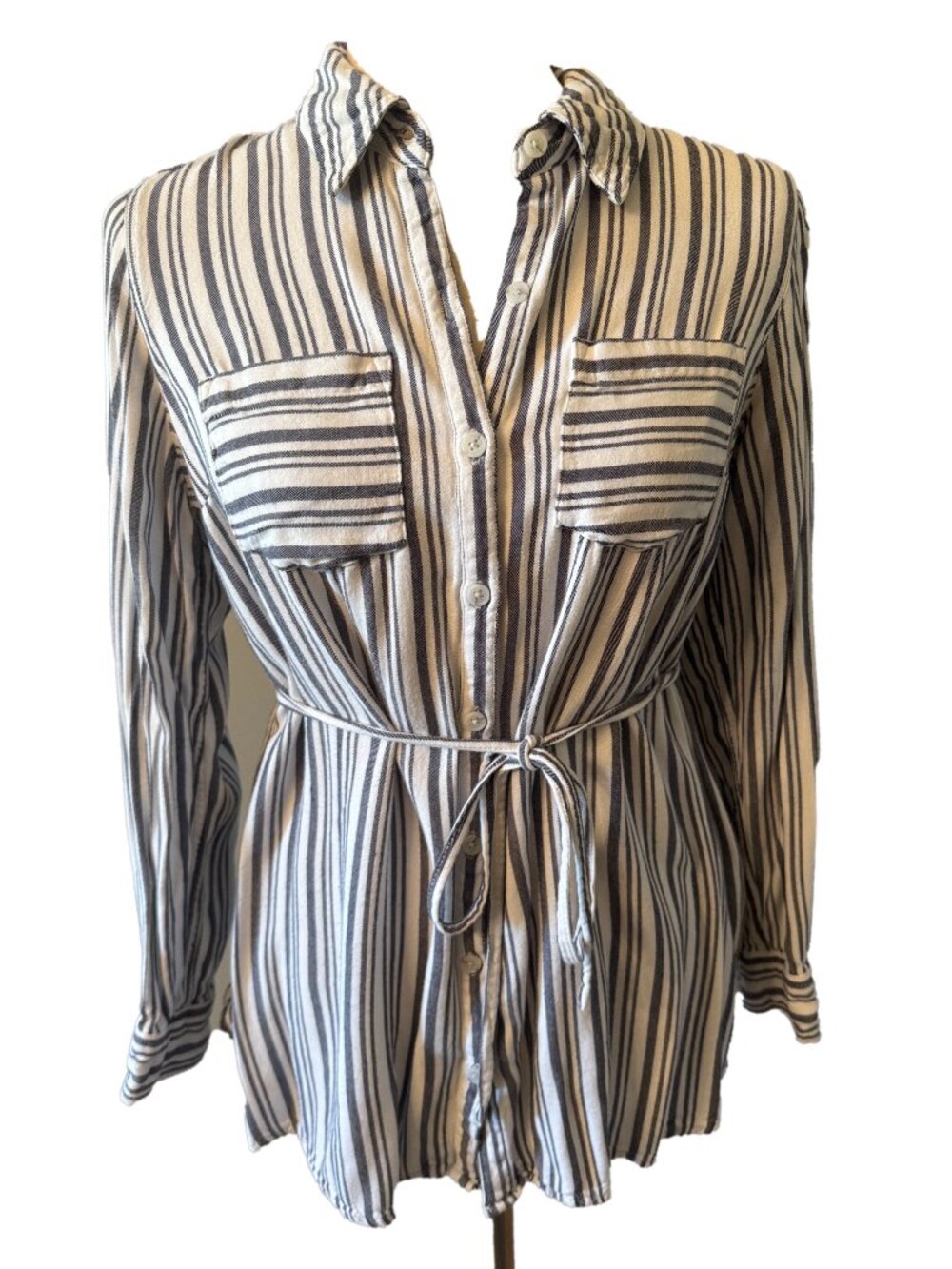 Isabel Maternity Striped Button-Front Shirt Tunic in White and Navy